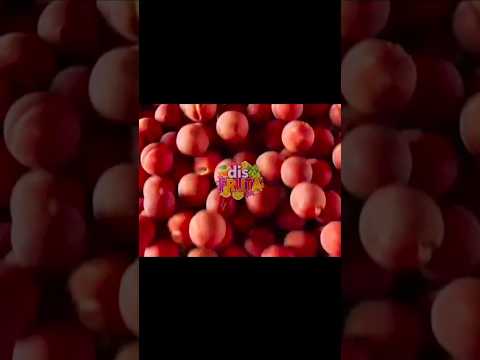 DisFruta