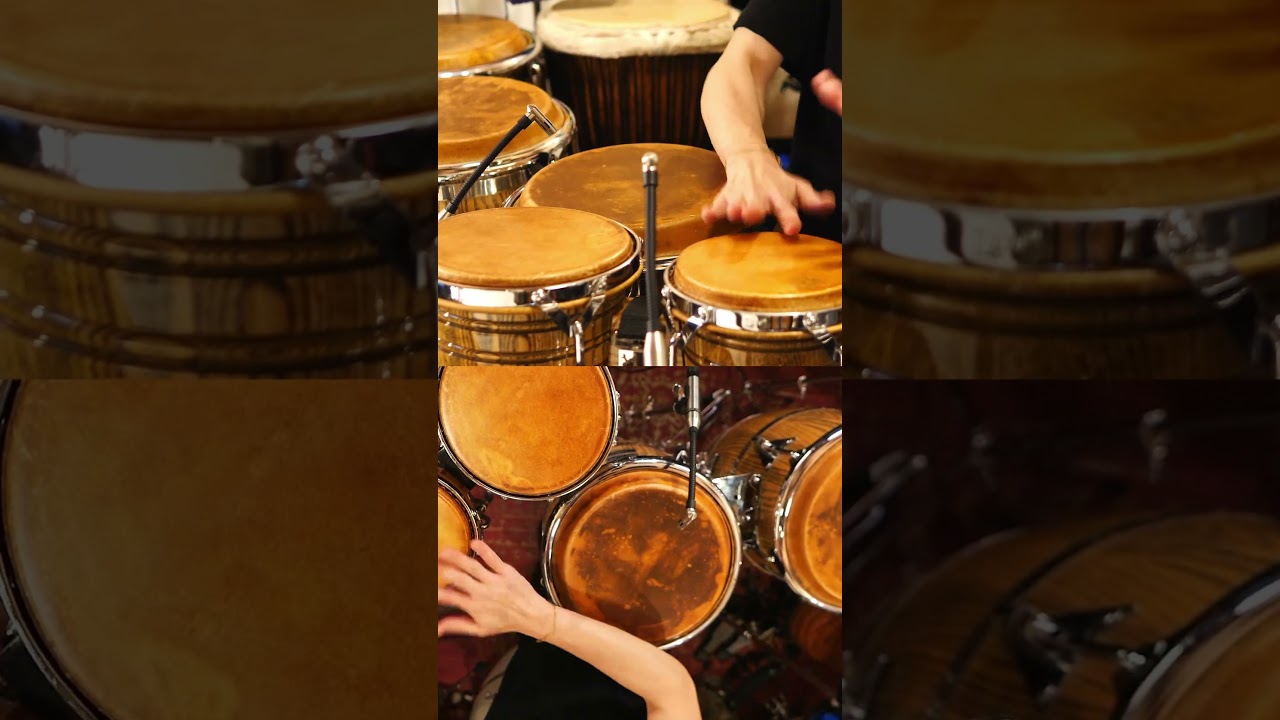Conga & Bongo Free Solo #コンガ #ボンゴ #ソロ