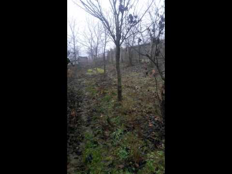 Horgesti casa Galeri