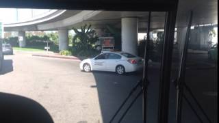 Wckr Spgt "Chickster"