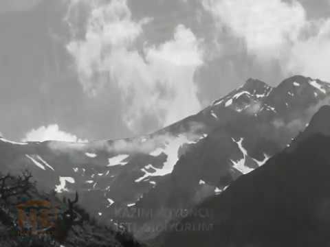 Seni seviyorum canım aşkım.I love you osman