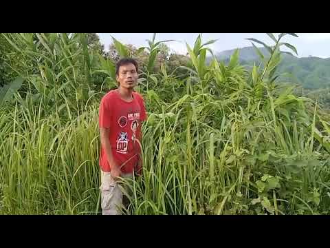 Lalpianmawia -Min tuah rem thuai se Cover