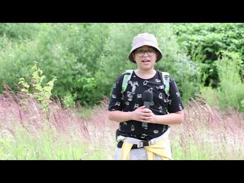 Cum ne echipăm de drumeție - David Garlovan