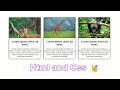 How to Create Post Cards Using HTML and CSS | box Contents text with image