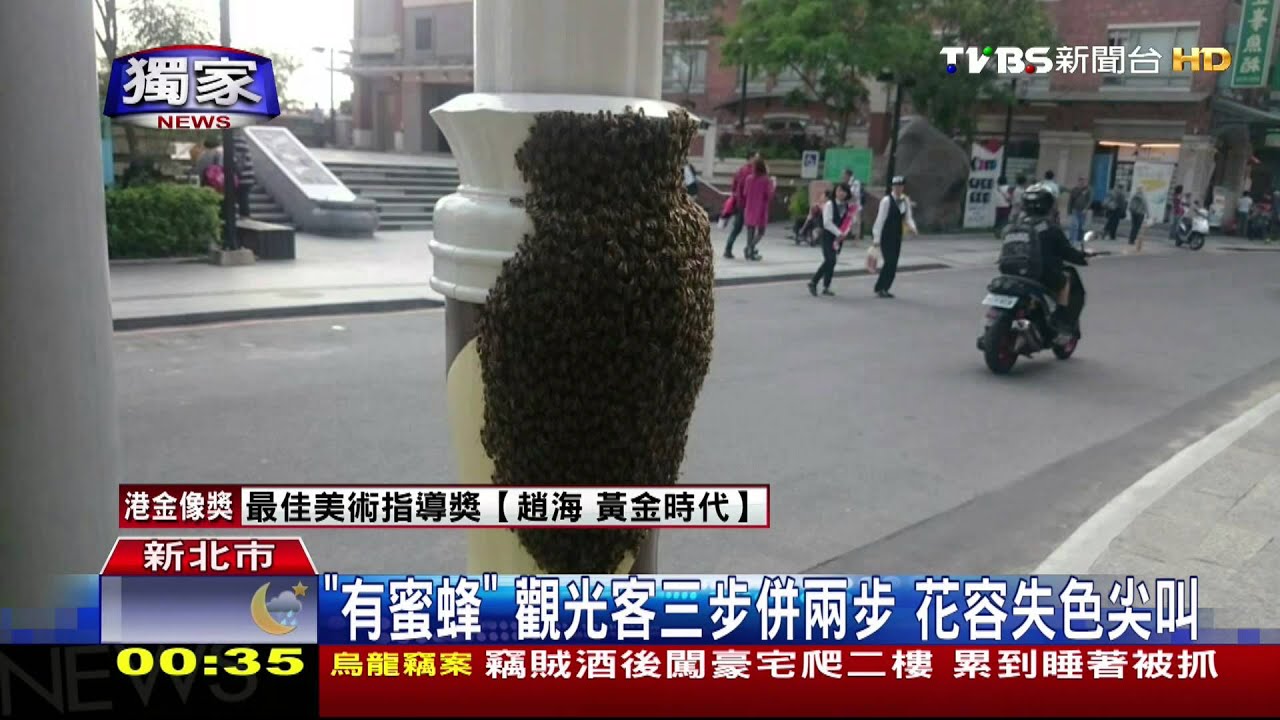 淡水老街「嗡嗡嗡」群蜂盤據　民眾驚嚇快閃
