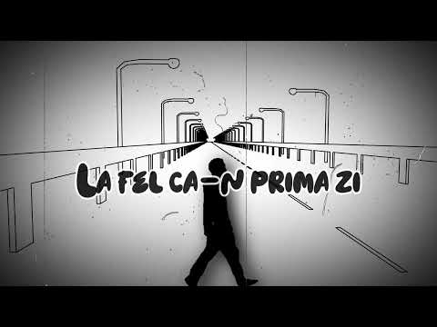 Zellu - Sub lumini de felinar
