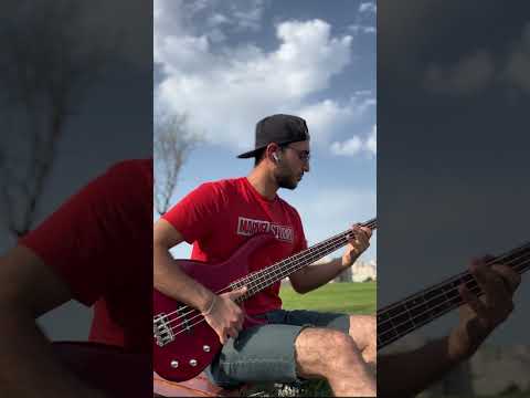 Baby Shark Sebo Tallava (bass cover).  #babyshark #baby #shark #bass #basscover