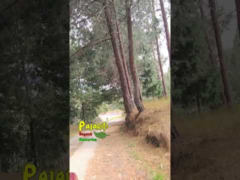 Carretera Cuítiva - El Crucero (Boyacá) 28/11/2025