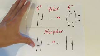 Polar and Nonpolar Covalent Bonds