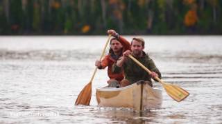 Cook County Fall 60sec