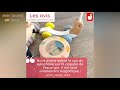 Jouet à tirer en bois pour bébé - Escargot à promener Pure