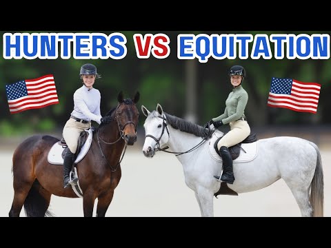 HUNTERS Vs EQUITATION! World Equestrian Center BARN TOUR!