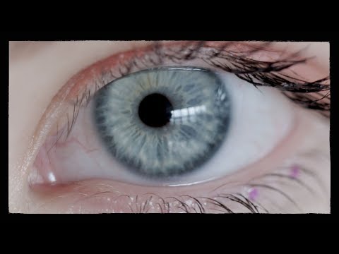 ‪Karolina Artymowicz - Ptaki [Official Music Video] ‬