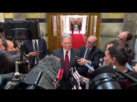 Winston Peters: We should make English an official language in New Zealand before it's pushed aside