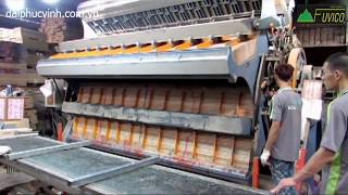 CẢO GHÉP KHỐI THỦY LỰC ĐÀI LOAN