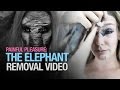 Painful pleasures: the elephant makeup removal