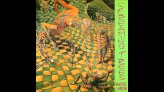 Screaming Trees - Invisible Lantern