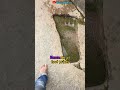 Proof That Ramayana Happened RAVAN S Lanka Proof Hanuman Jii Foot Prints Floating Stones