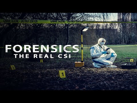 Forensics: The Real CSI [UK] [S01E02] #crimenews #crimestory #murdermystery #newepisode #robbery