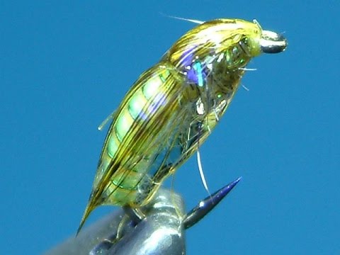 Tying a Small Caddis Pupa by Davie McPhail