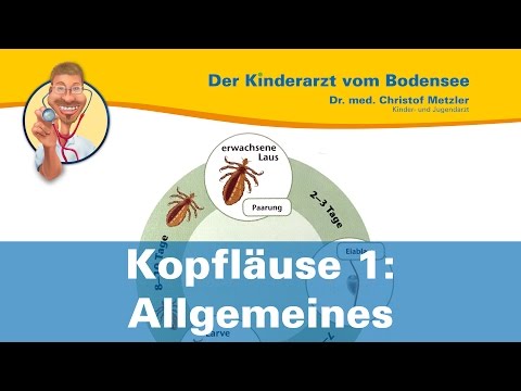 Kopfläuse 1: Allgemeines - Der Kinderarzt vom Bodensee