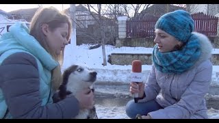 Катя вест с собакой
