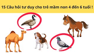 15 CÂU HỎI TƯ DUY TRẺ  MẦM NON 4 ĐẾN 6 TUỔI | KÊNH MẦM NON