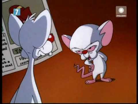 Pinky and the Brain - A Meticulous Analysis of History (POLISH VOICEOVER)