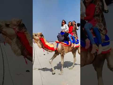 #camel ride##varanasi