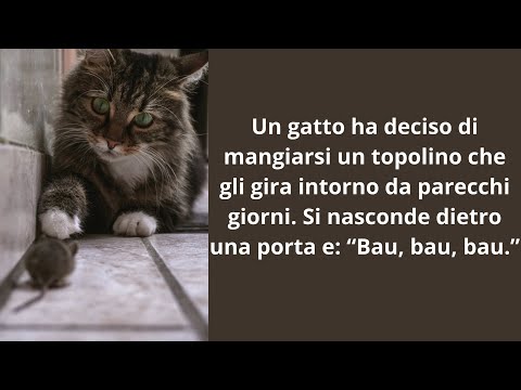 Top Barzellette 56 - Un gatto ha deciso di mangiarsi un topolino...