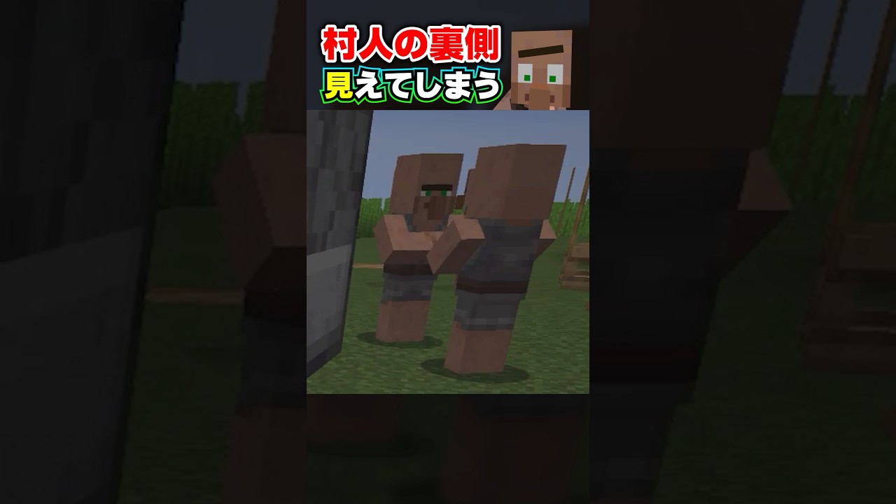 【マイクラ】村人の裏側が見えてしまうバグｗ？ #minecraft #java