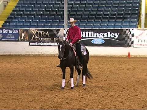 Hollywood Dun Tari SWRHA Futurity