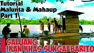 Download lagu Saluang || Part 1, Malunta Atau Mahaup Salah Satu Ikan Khas Sungai Barito || Tumpung Laung mp3