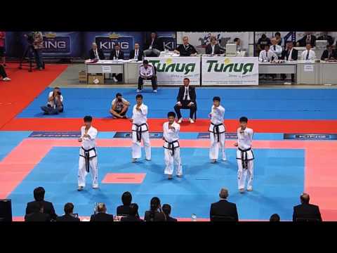 DPR Korea v Japan Male Team Patterns Final. 2013 ITF World Championships