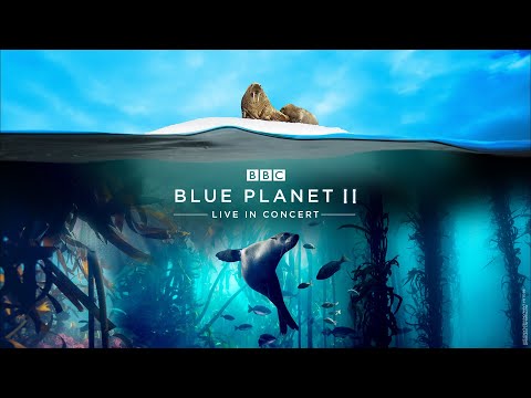 Blue Planet II - Soundtrack Score OST - Hans Zimmer