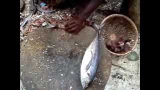 preview picture of video 'Paarai Fish Cutting'