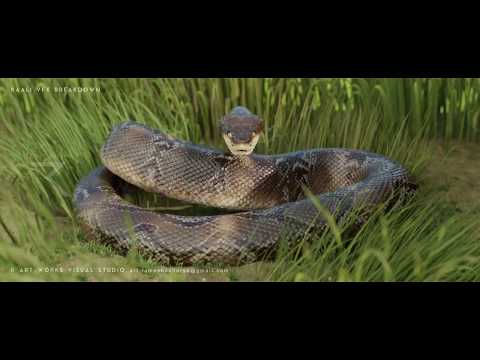 CGI VFX BREAKDOWN : KAALI / KASI  R - ART WORKS VISUAL STUDIO