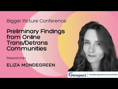 The Bigger Picture Conference 2023 — online trans en detrans-gemeenschappen
