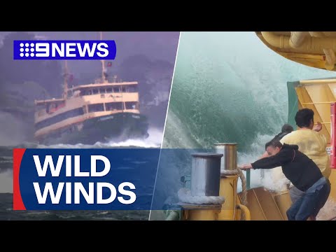 NSW east coast smashed by intense winds | 9 News Australia