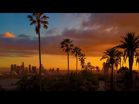 Jimmy Dub - Vamo a la Playa 🌴 Official Video