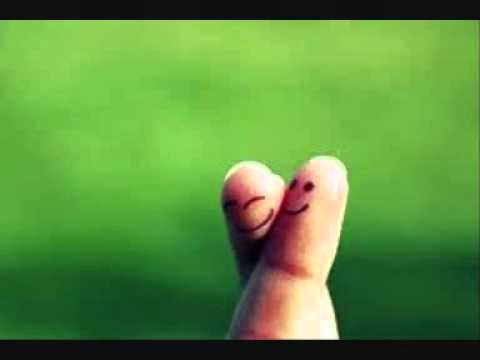 Fissura video