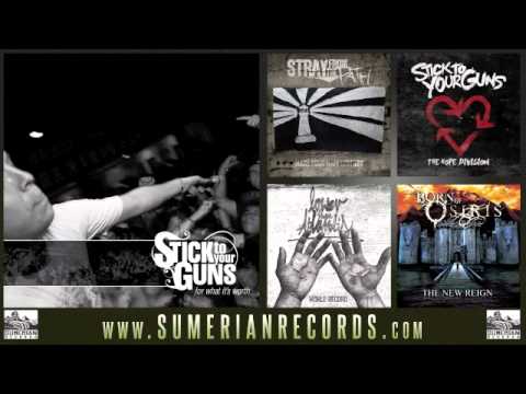 STICK TO YOUR GUNS - This Is More