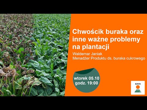 , title : 'WEBINAR Chwościk buraka i inne ważne problemy na plantacji.'