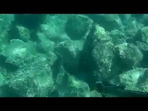 spearfishing double hit
