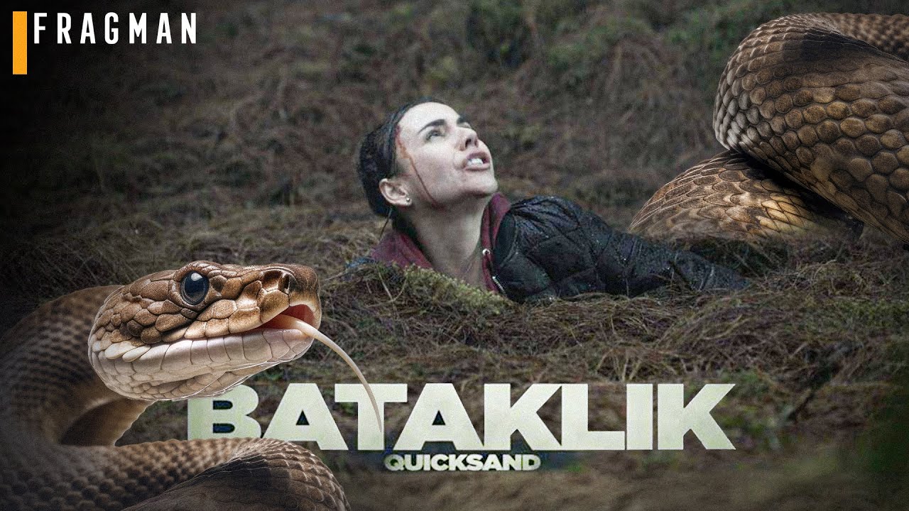 The Bayou - Videolar