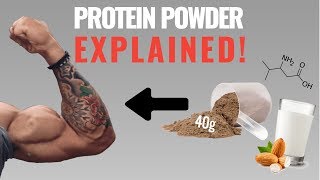 Protein Powder: How to Best Use It For Muscle Grow
