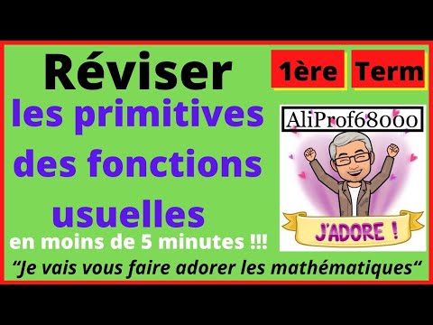Réviser les PRIMITIVES des fonctions usuelles en moins de 5 minutes !!!!