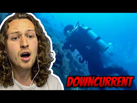 CAUGHT IN A DOWNCURRENT - PANIC | Pro Diver Reacts
