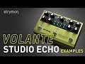 Strymon Volante - Studio Echo Examples - Demo