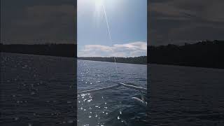 5 July 2025